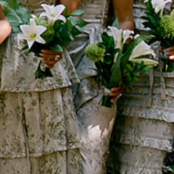 V. Chapman The June Dress in Sage Tapestry - Picture 2 of 3